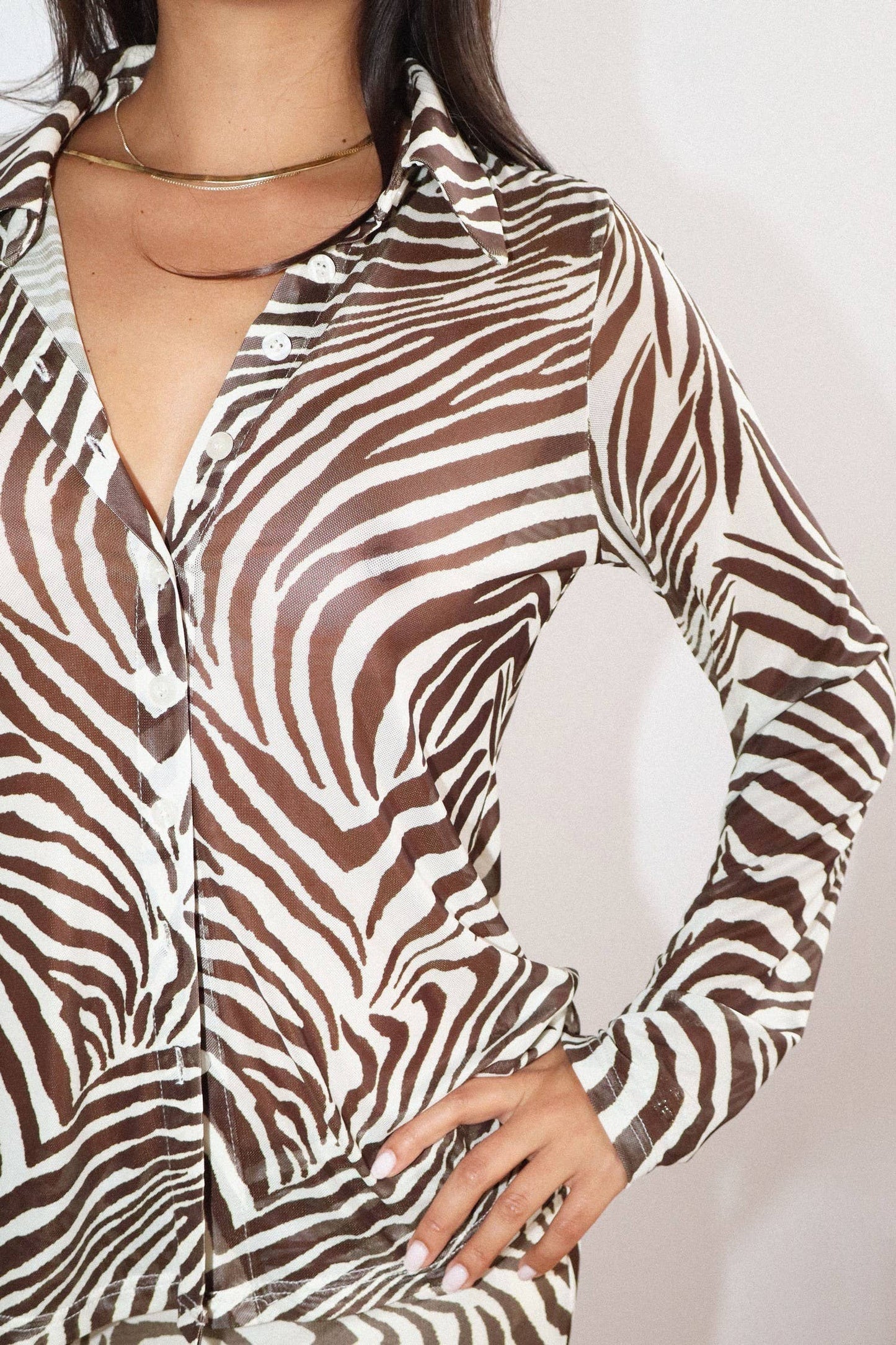 Zebra Print Button Front Sheer Blouse