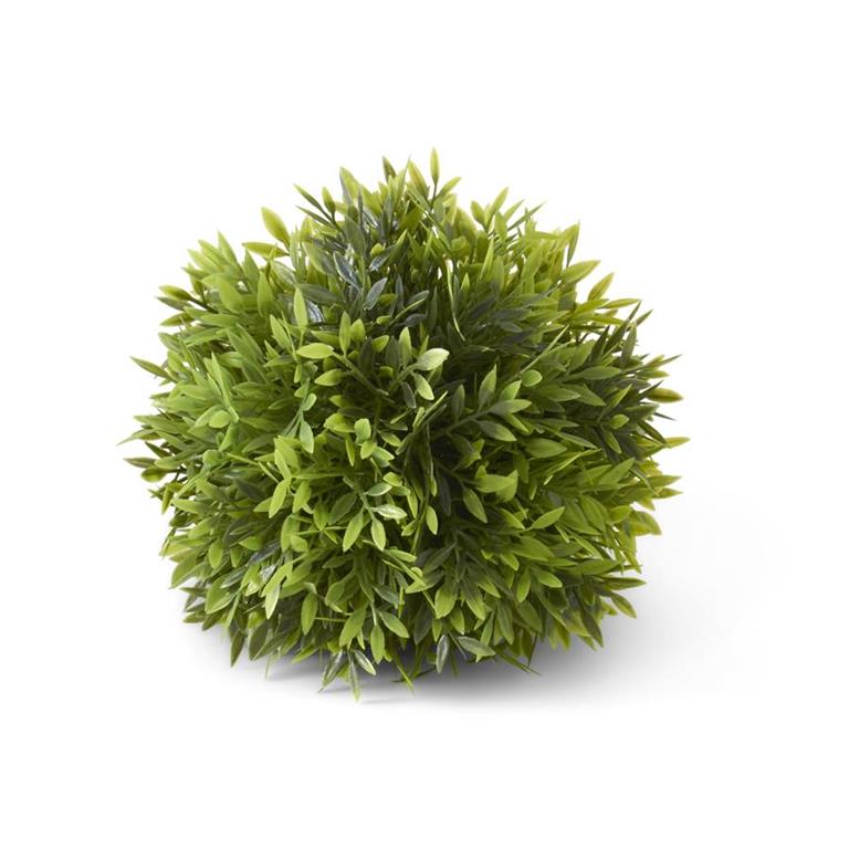 8" Podocarpus Ball