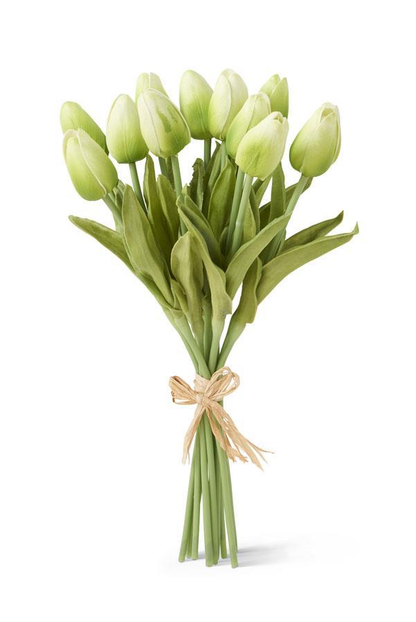 13" Green Tulip Bundle 12 Stems