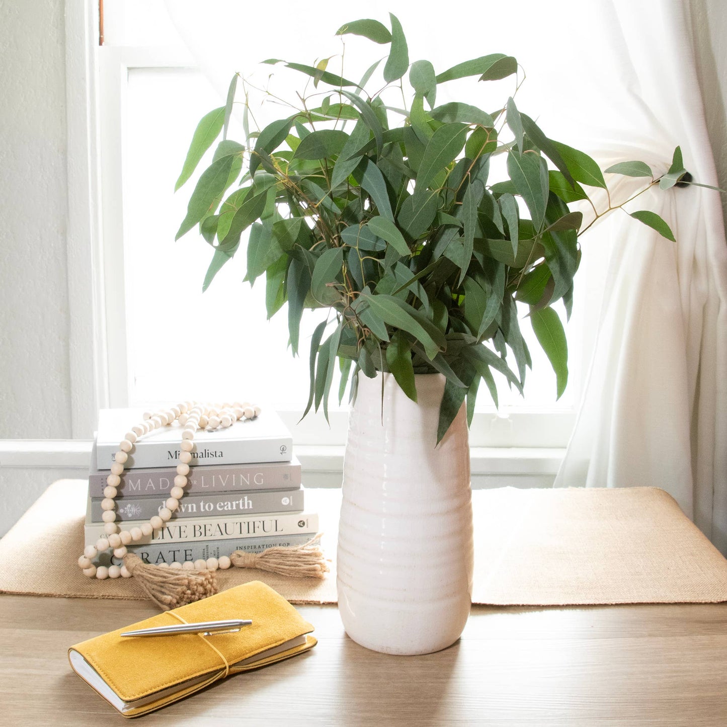 Fresh Willow Eucalyptus 10 Stems Bunch