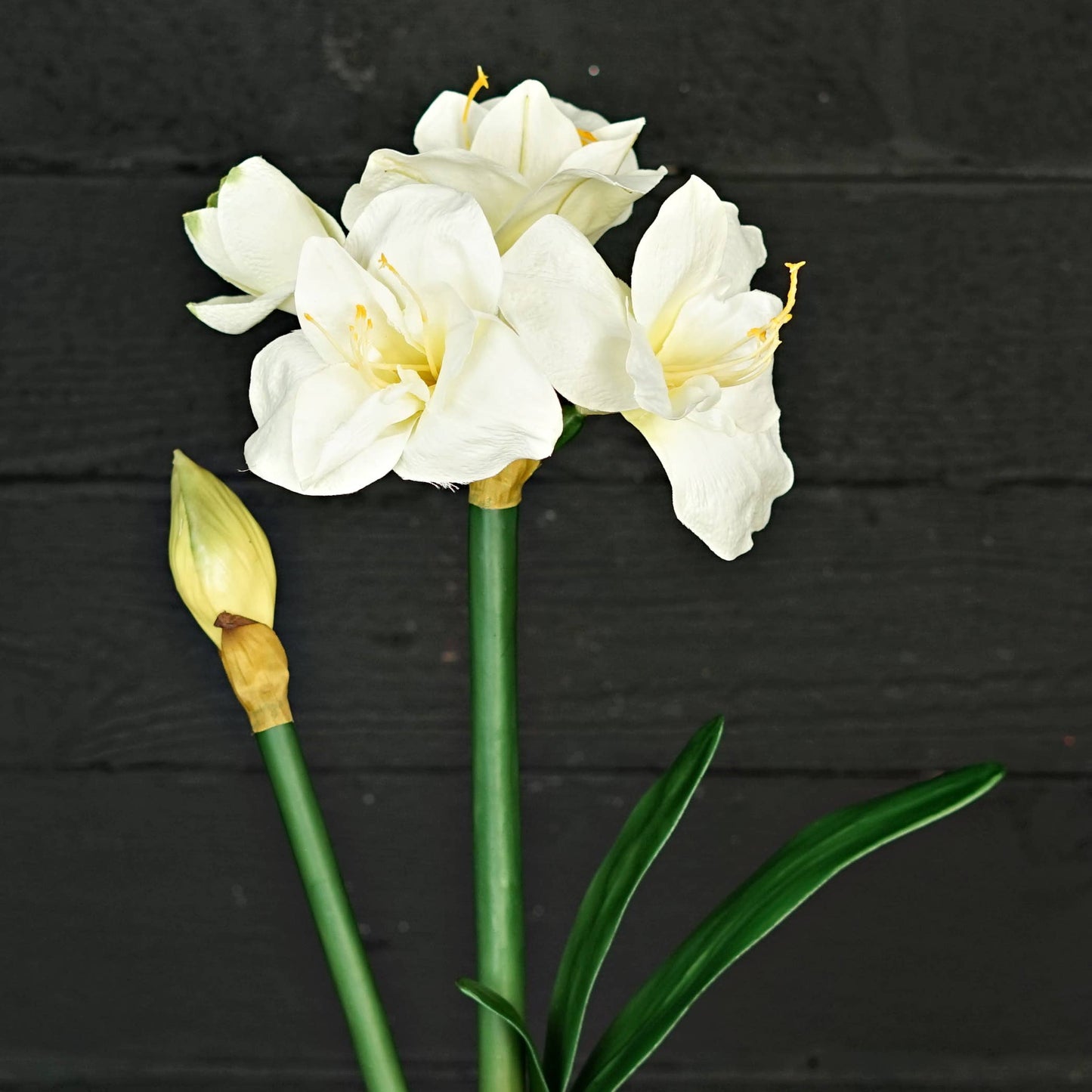 IT052CR- 22" Amaryllis bush x 4 w. bud and leaf