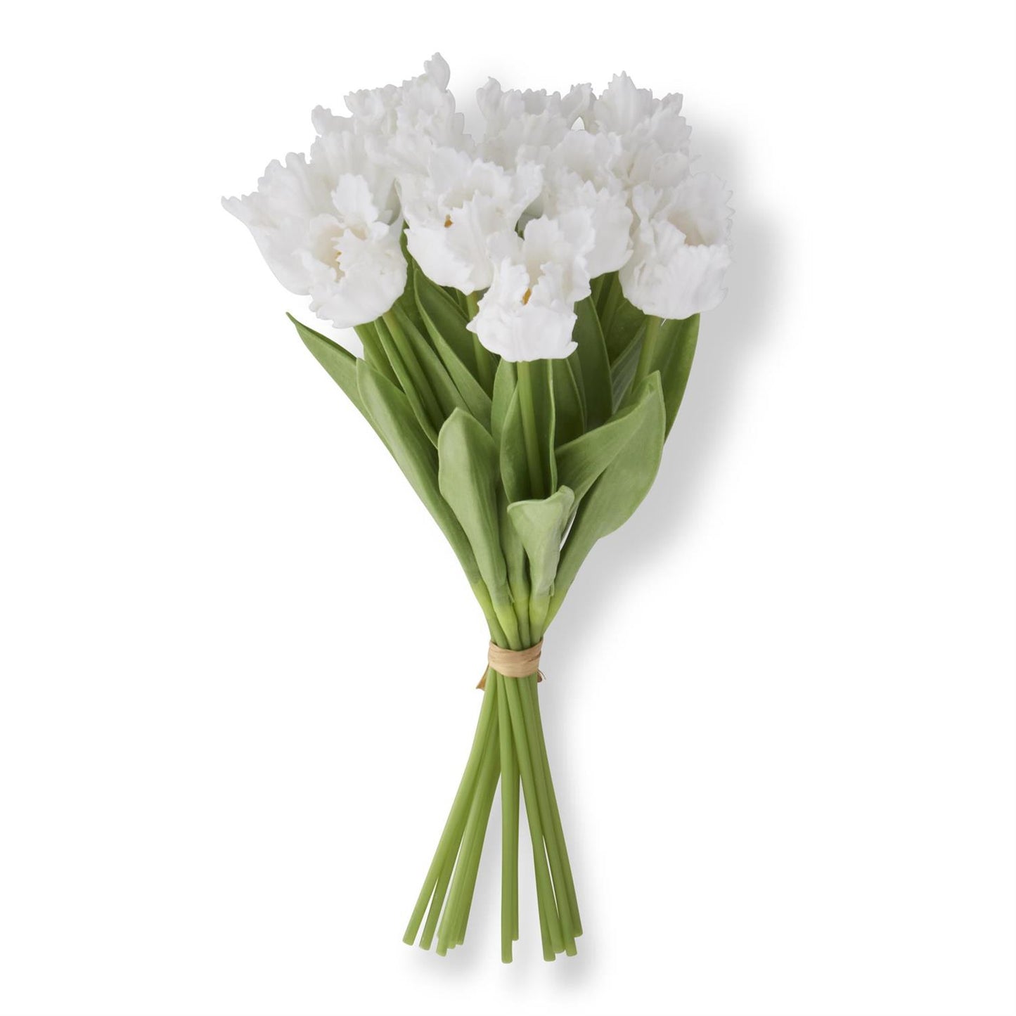 13" Parrot Tulip Bundle 12 Stems