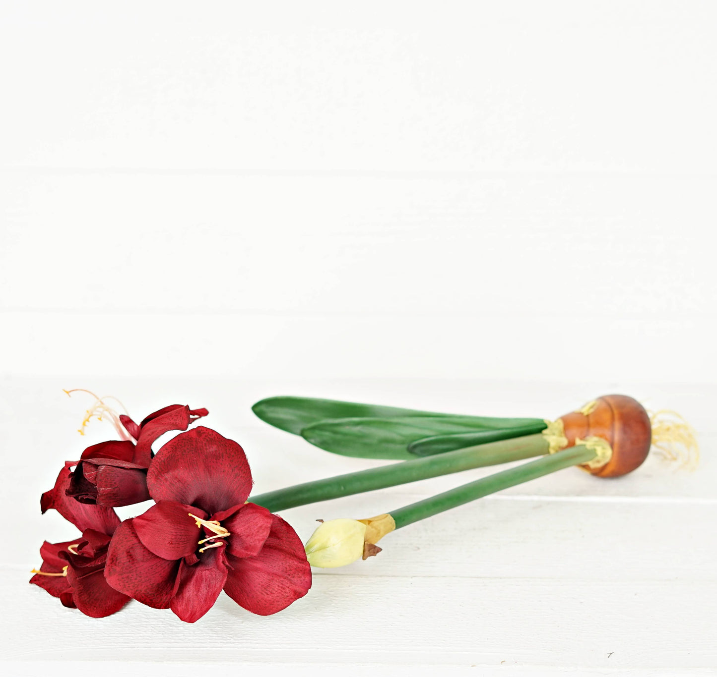 IT052RD- 22" Amaryllis bush x 4 flower w bud and leaf