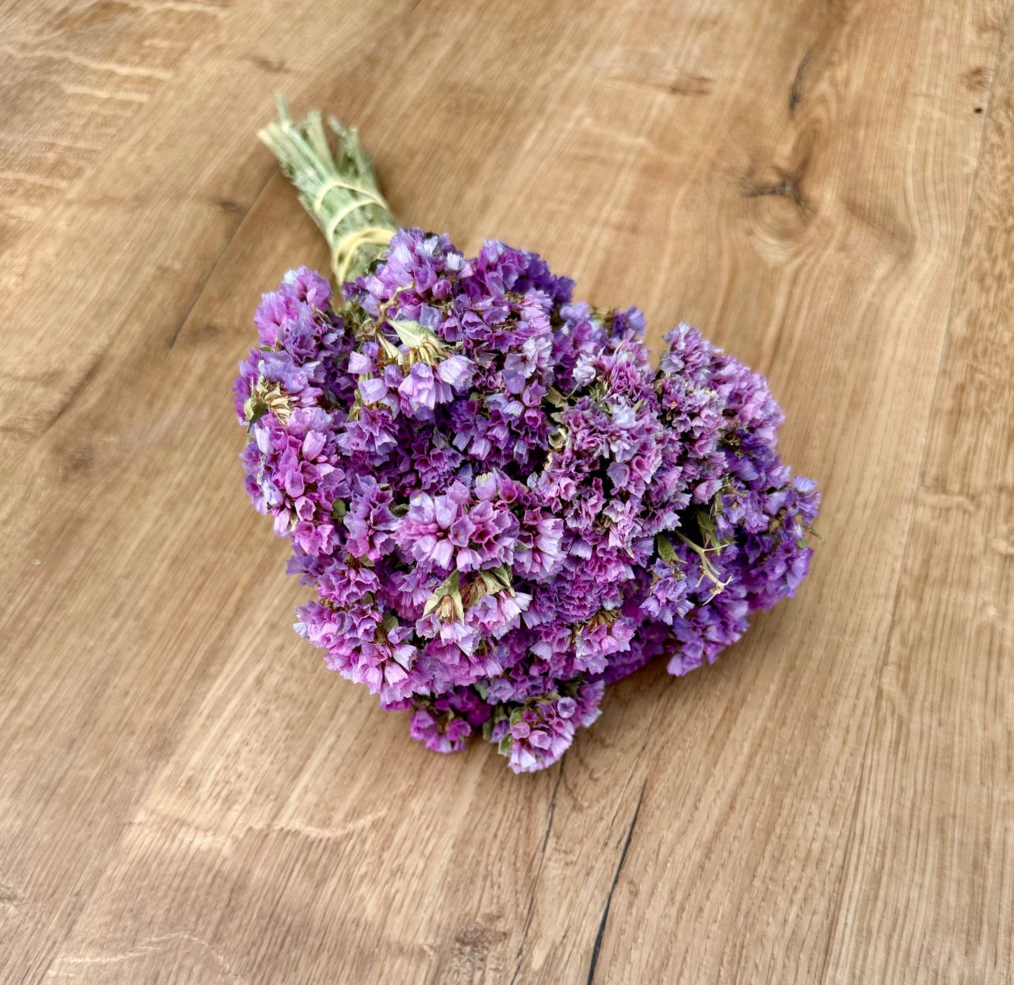 Sinuata Statice - Light Purple