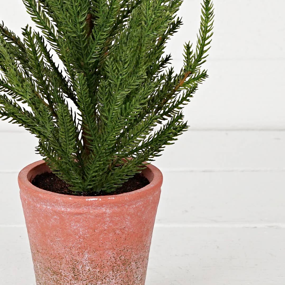 32303- 15.5inHx5inW Tree-Soft touch evergreen Norfolk pine