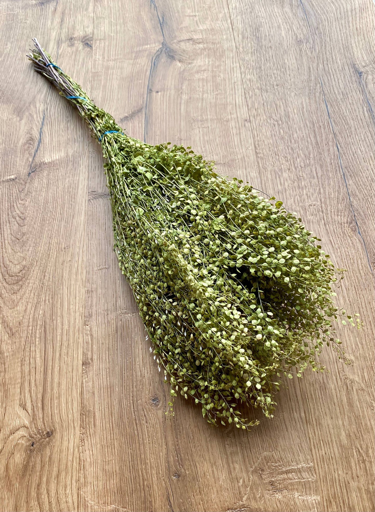 Lepidium (Pepper Grass)