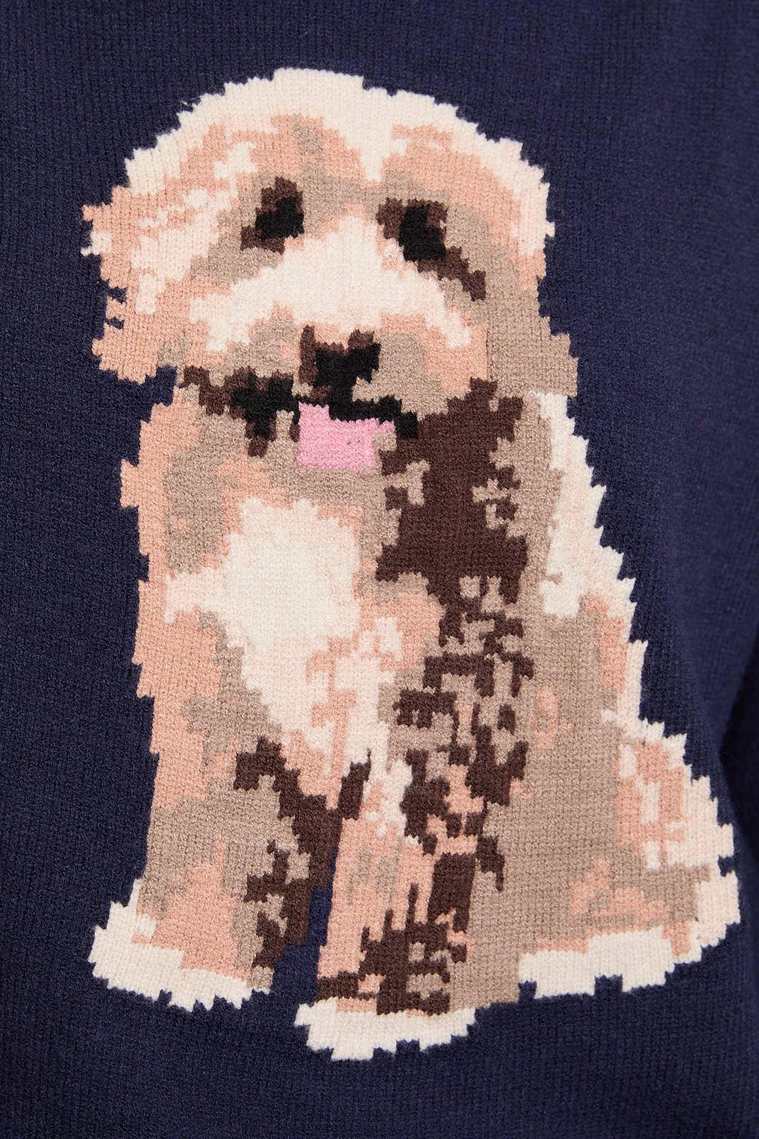 OFF SHOULDER LONG SLEEVE GOLDENDOODLE GRAPHIC SWEATER