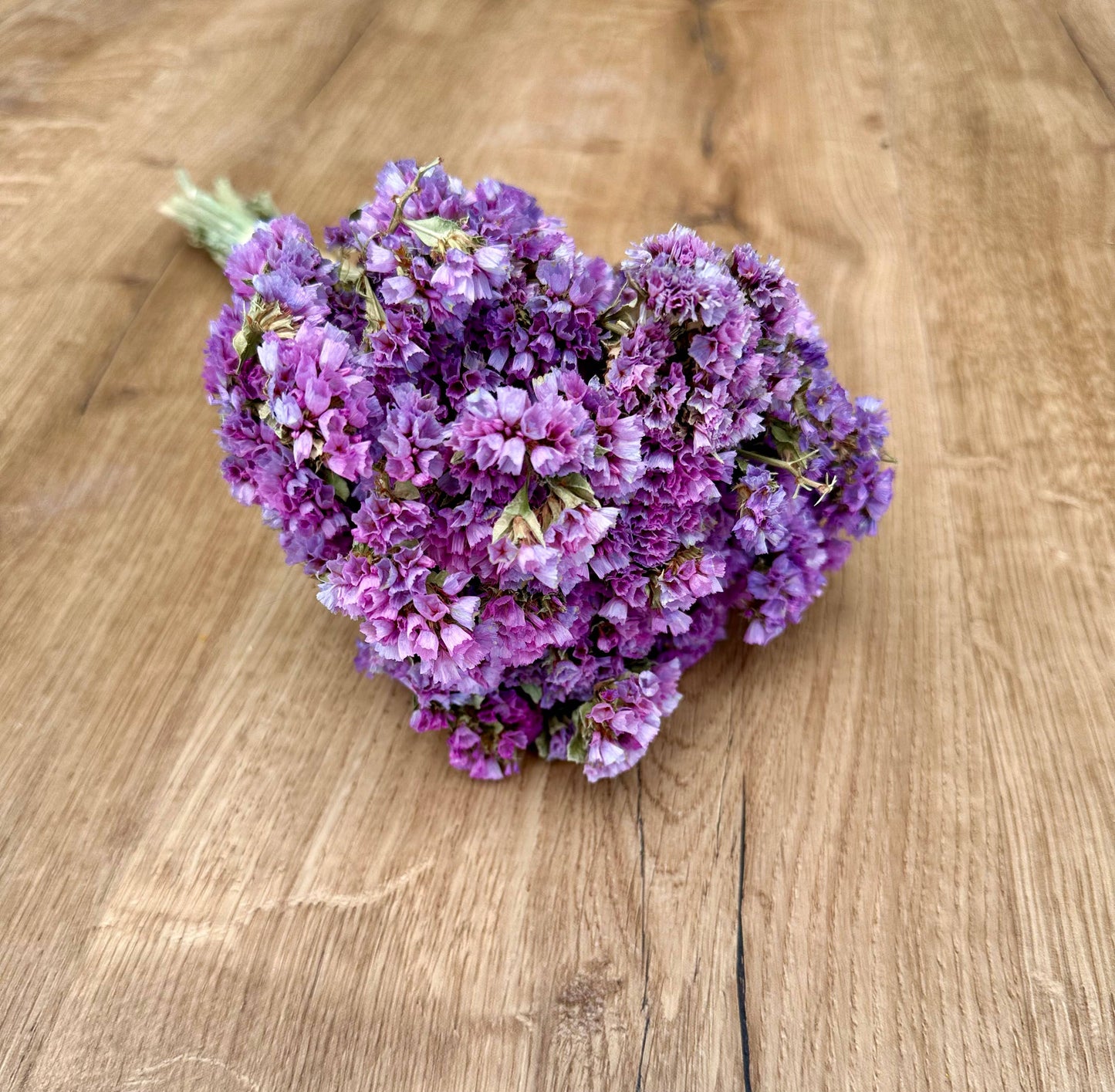 Sinuata Statice - Light Purple