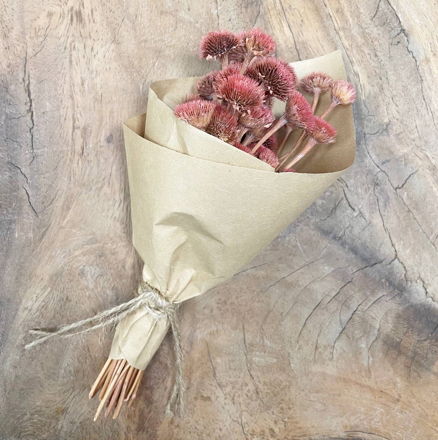 MINI Pink Wild Daisy Bundle #86