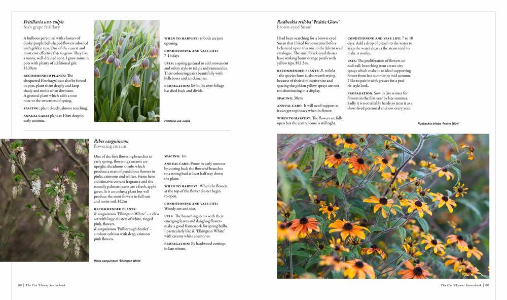 Cut Flower Sourcebook
