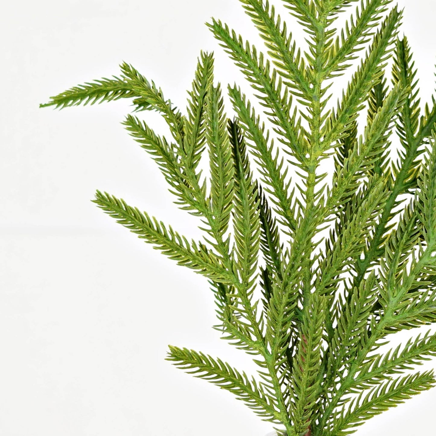 510706- 18in Pick-Soft Touch Evergreen Norfolk Pine-