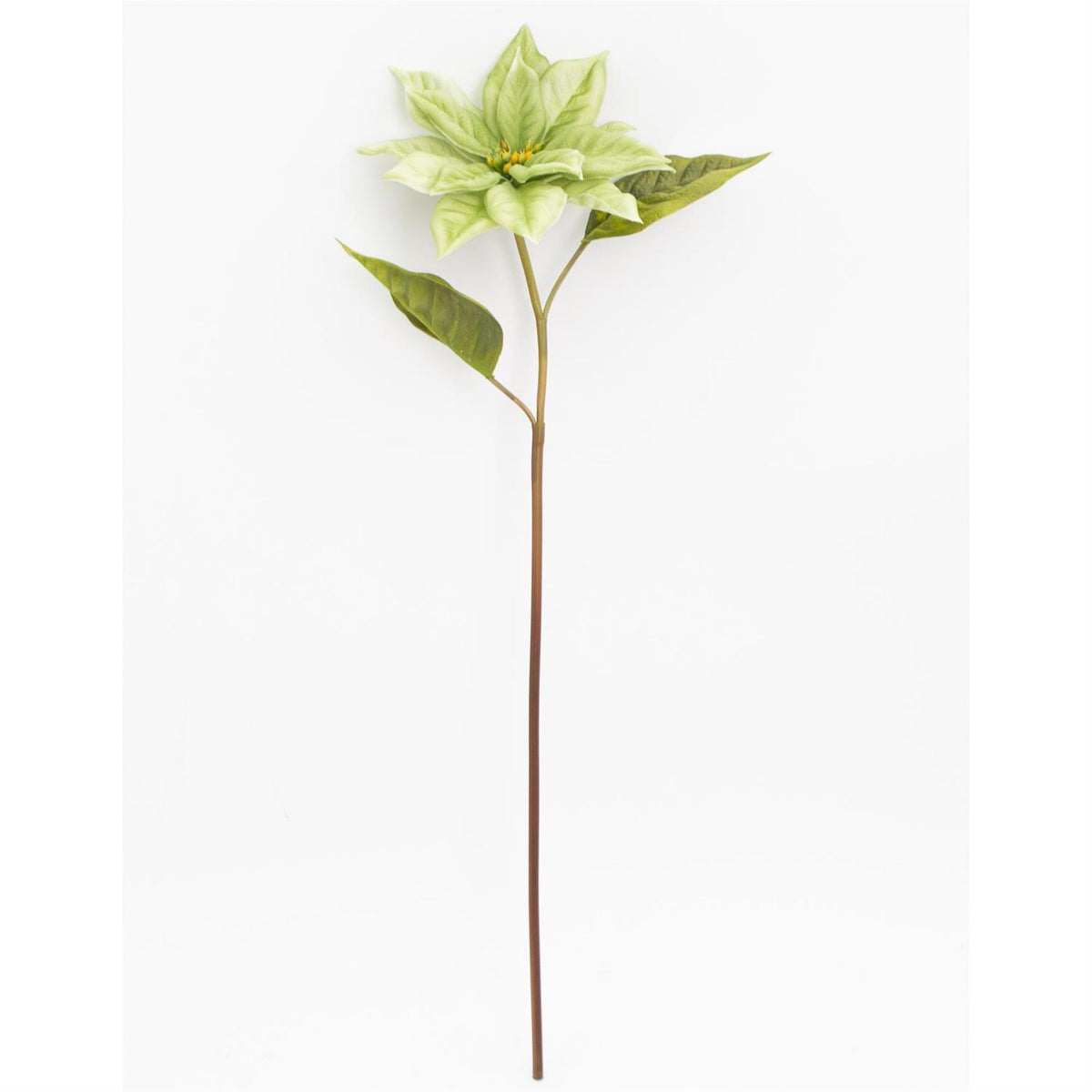 18" Real Touch Light Green Poinsettia Stem