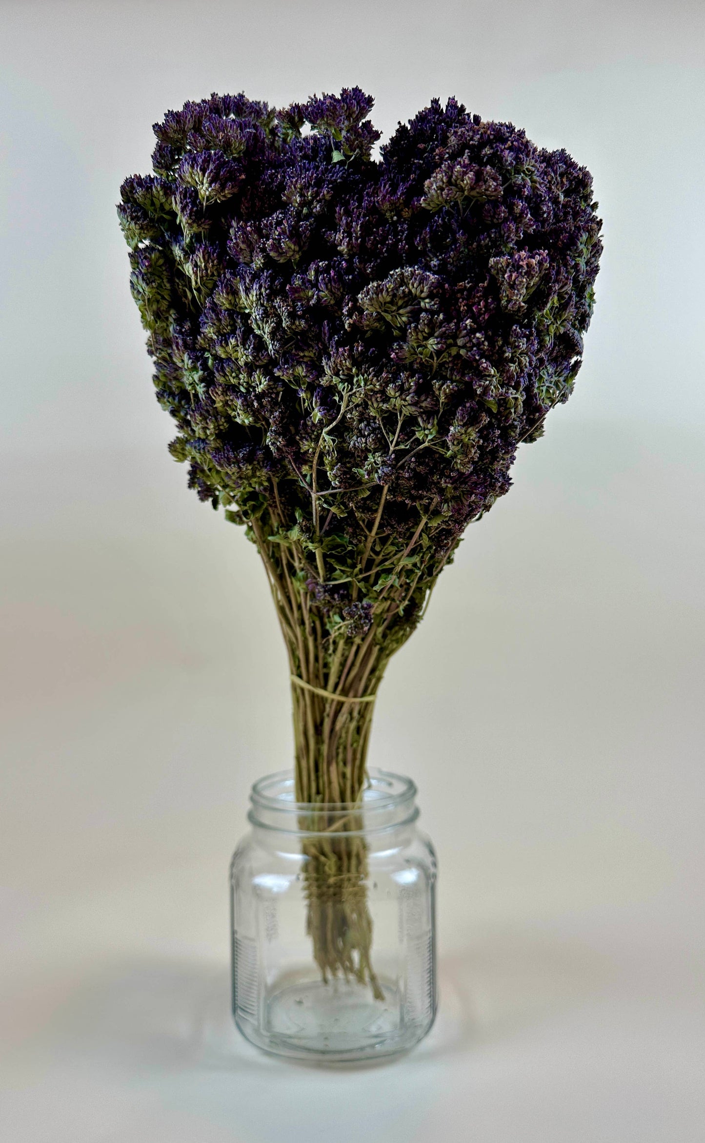 Purple Blossom Oregano