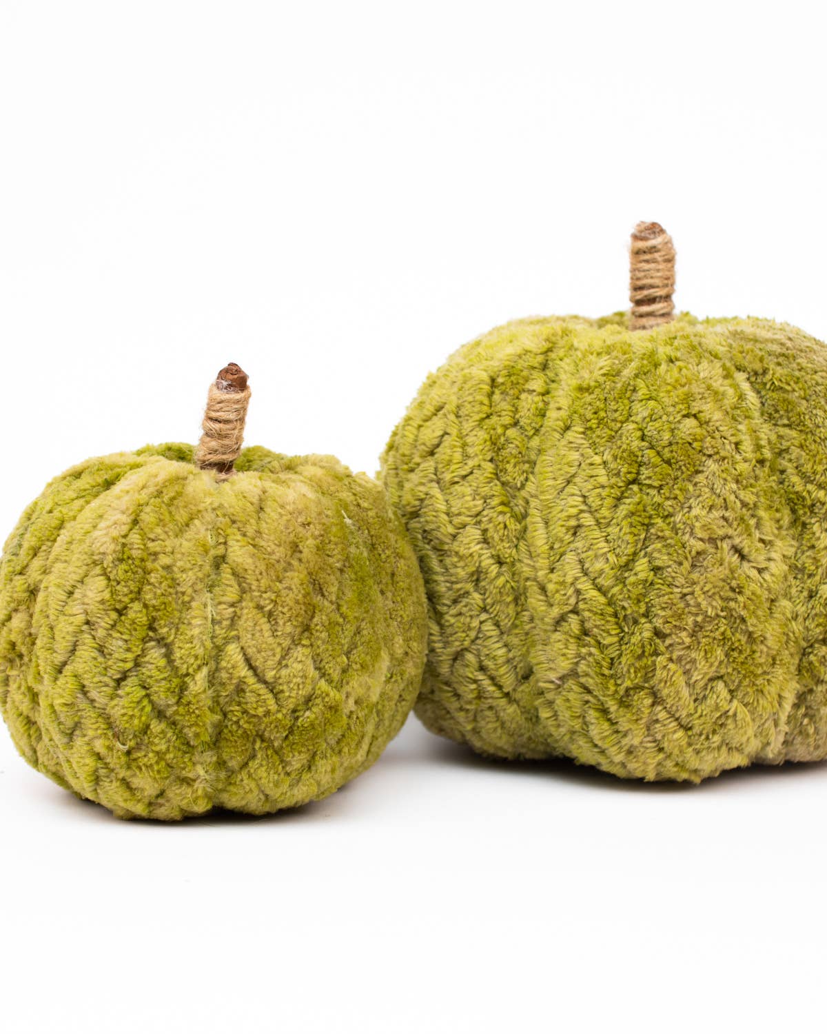 Hutchinson Pumpkin Green 6"