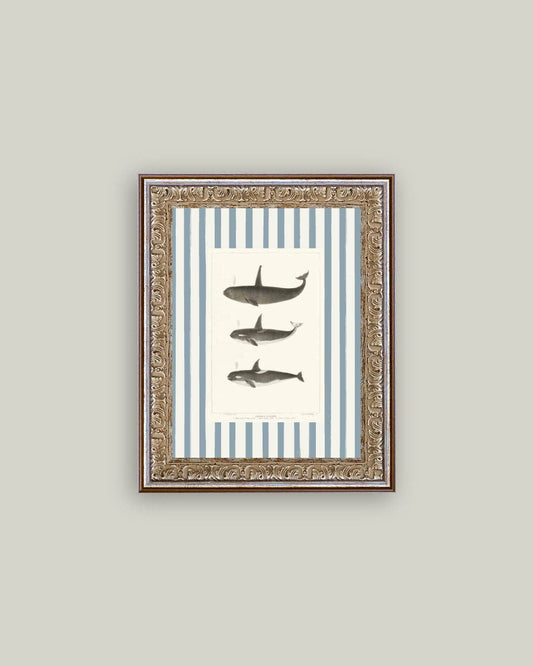 Whales on Stripes Framed Antique Art