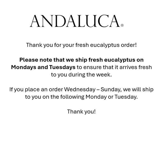 Fresh Willow Eucalyptus 10 Stems Bunch