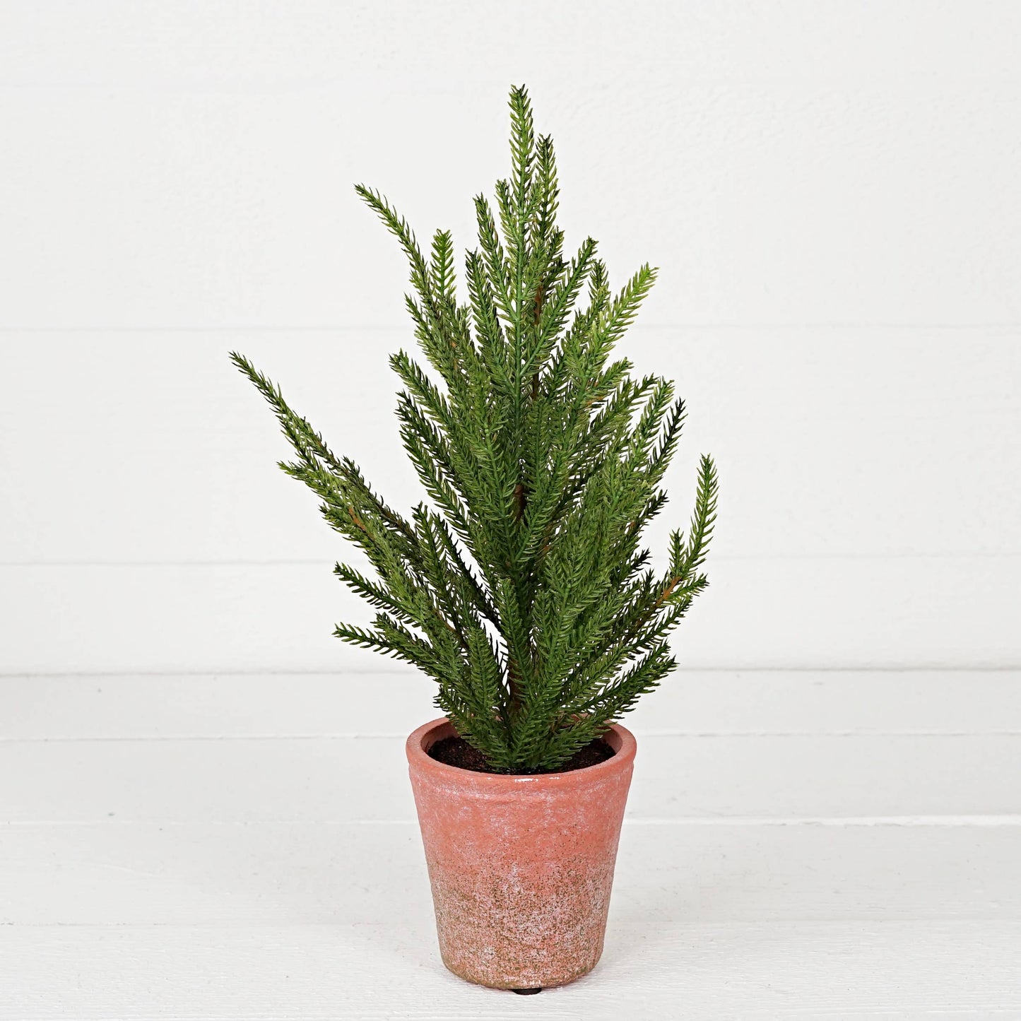 32303- 15.5inHx5inW Tree-Soft touch evergreen Norfolk pine
