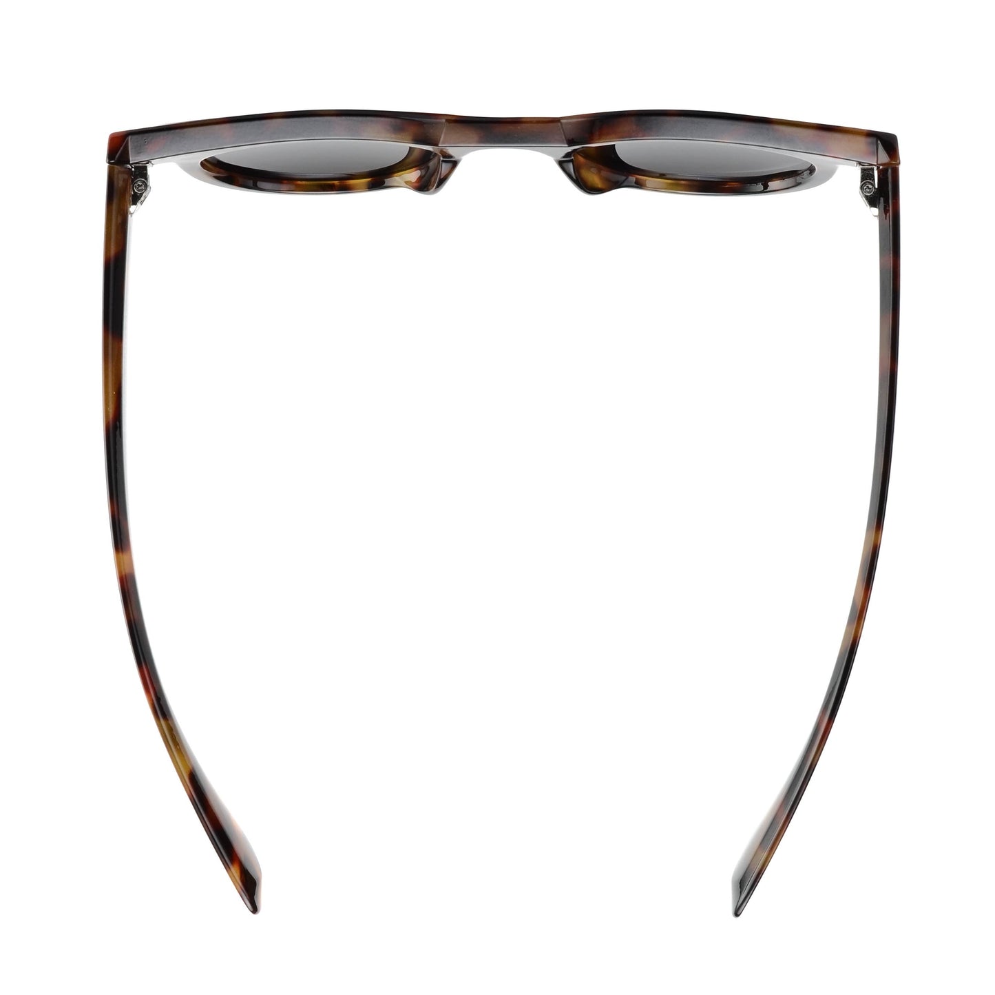 Sunglasses - MILO | Tortoise | Smokey Lens