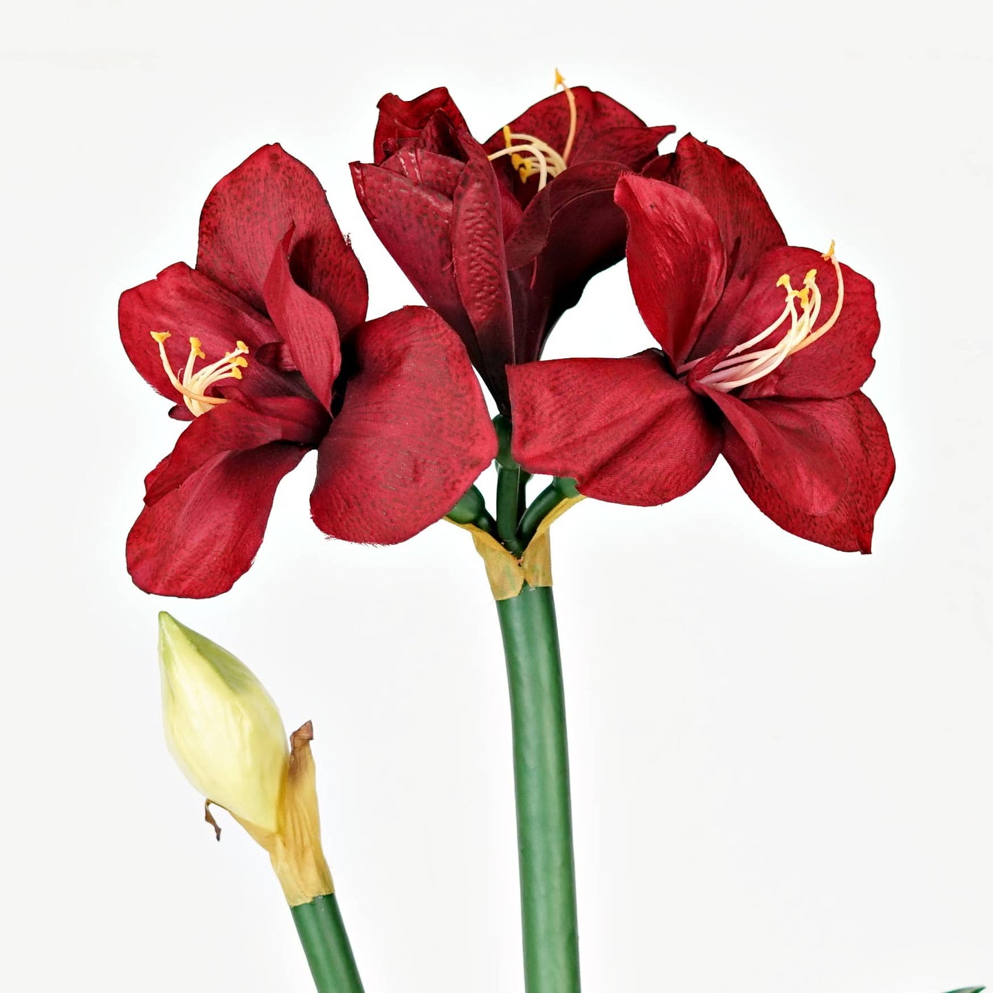 IT052RD- 22" Amaryllis bush x 4 flower w bud and leaf