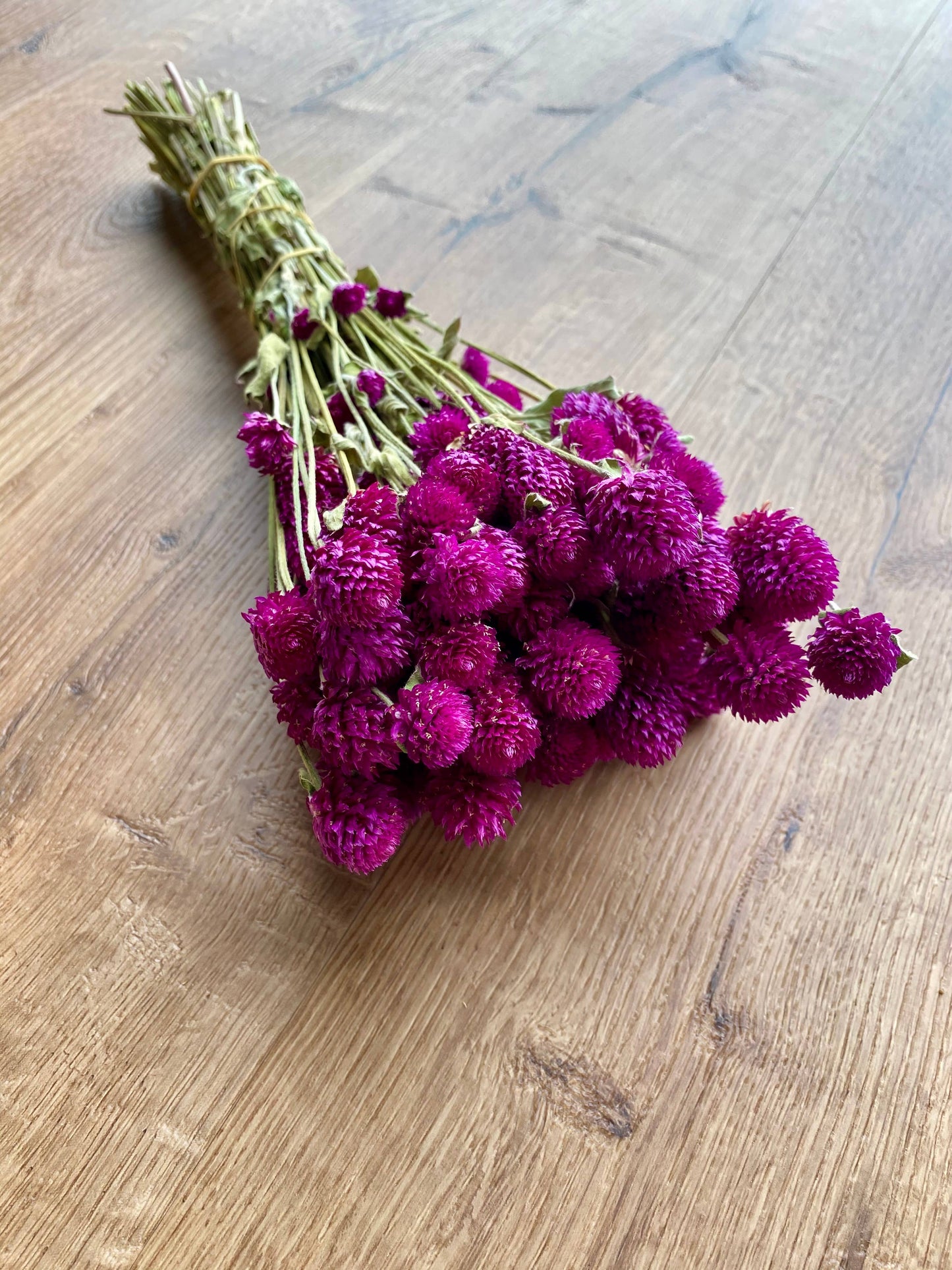Globe Amaranth - Purple