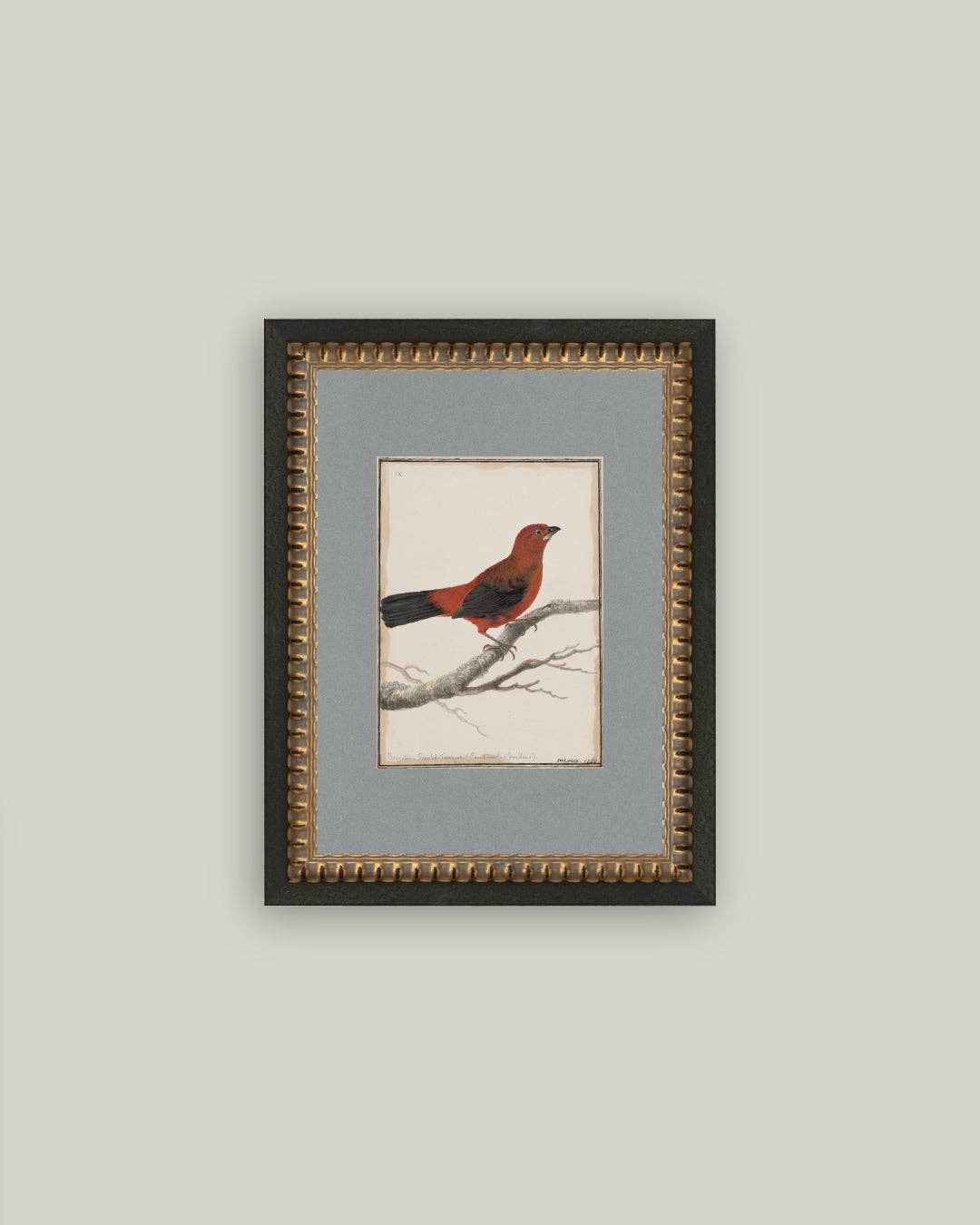 Red Bird Framed Antique Art