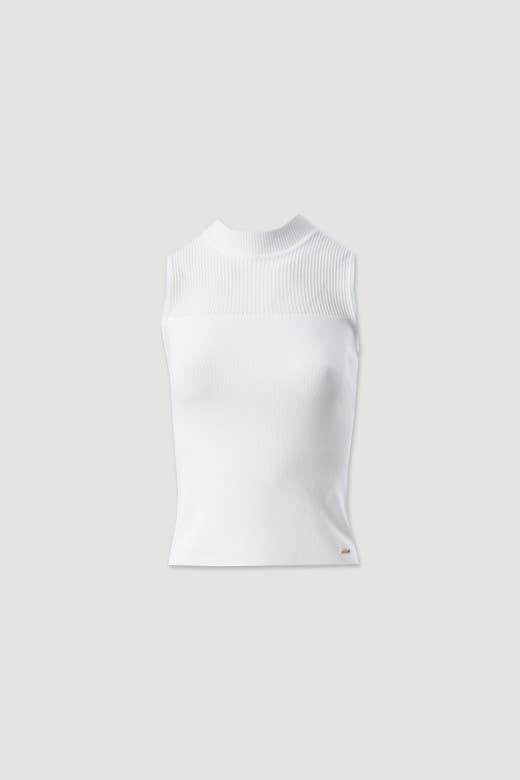 Knit Top with Turtleneck and Transparency