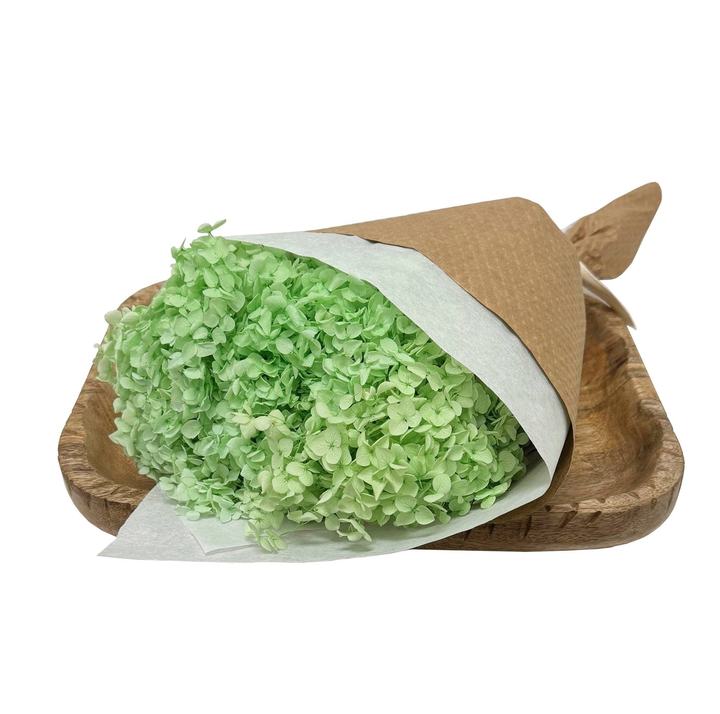 Light Green Preserved Hydrangea #158