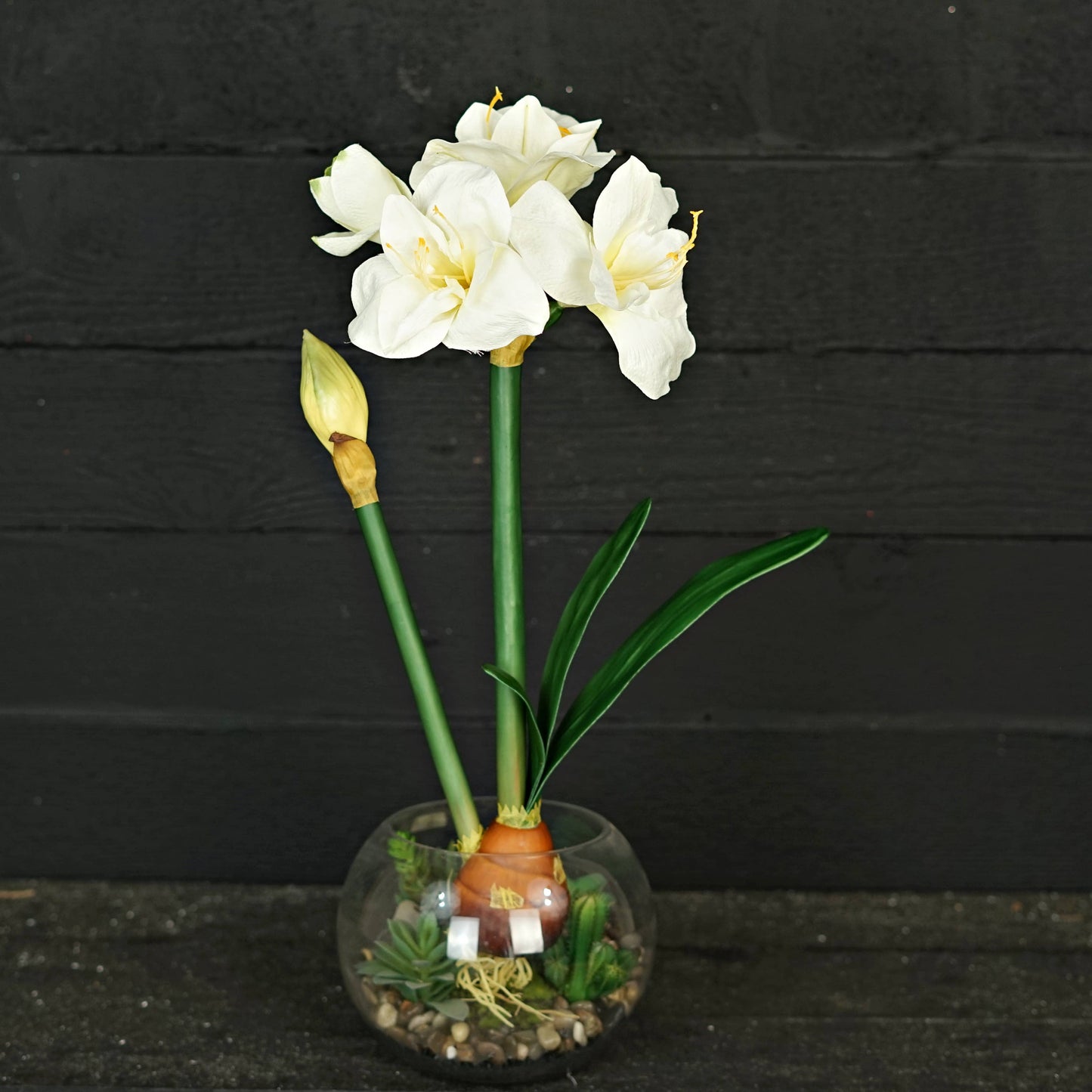 IT052CR- 22" Amaryllis bush x 4 w. bud and leaf