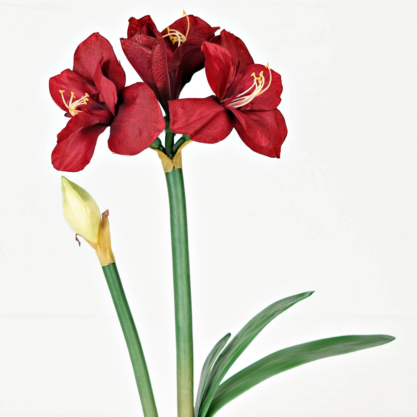 IT052RD- 22" Amaryllis bush x 4 flower w bud and leaf