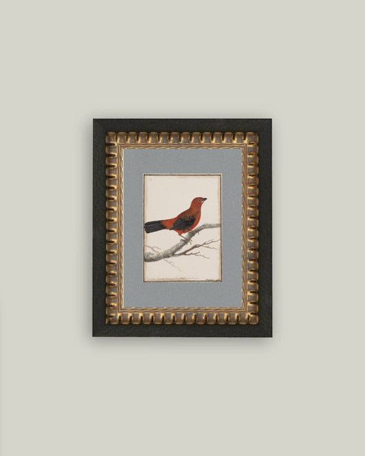 Red Bird Framed Antique Art