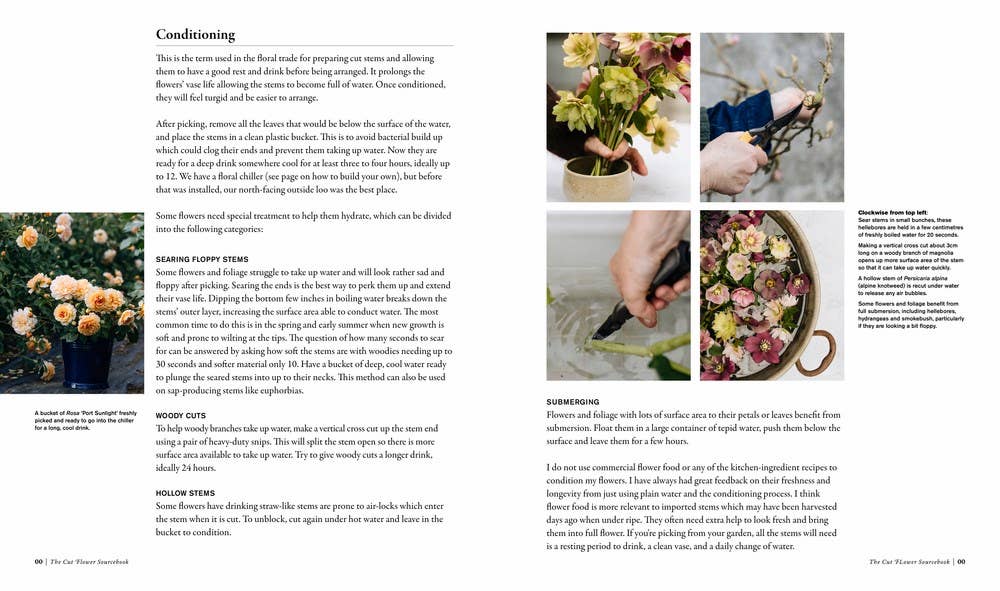 Cut Flower Sourcebook