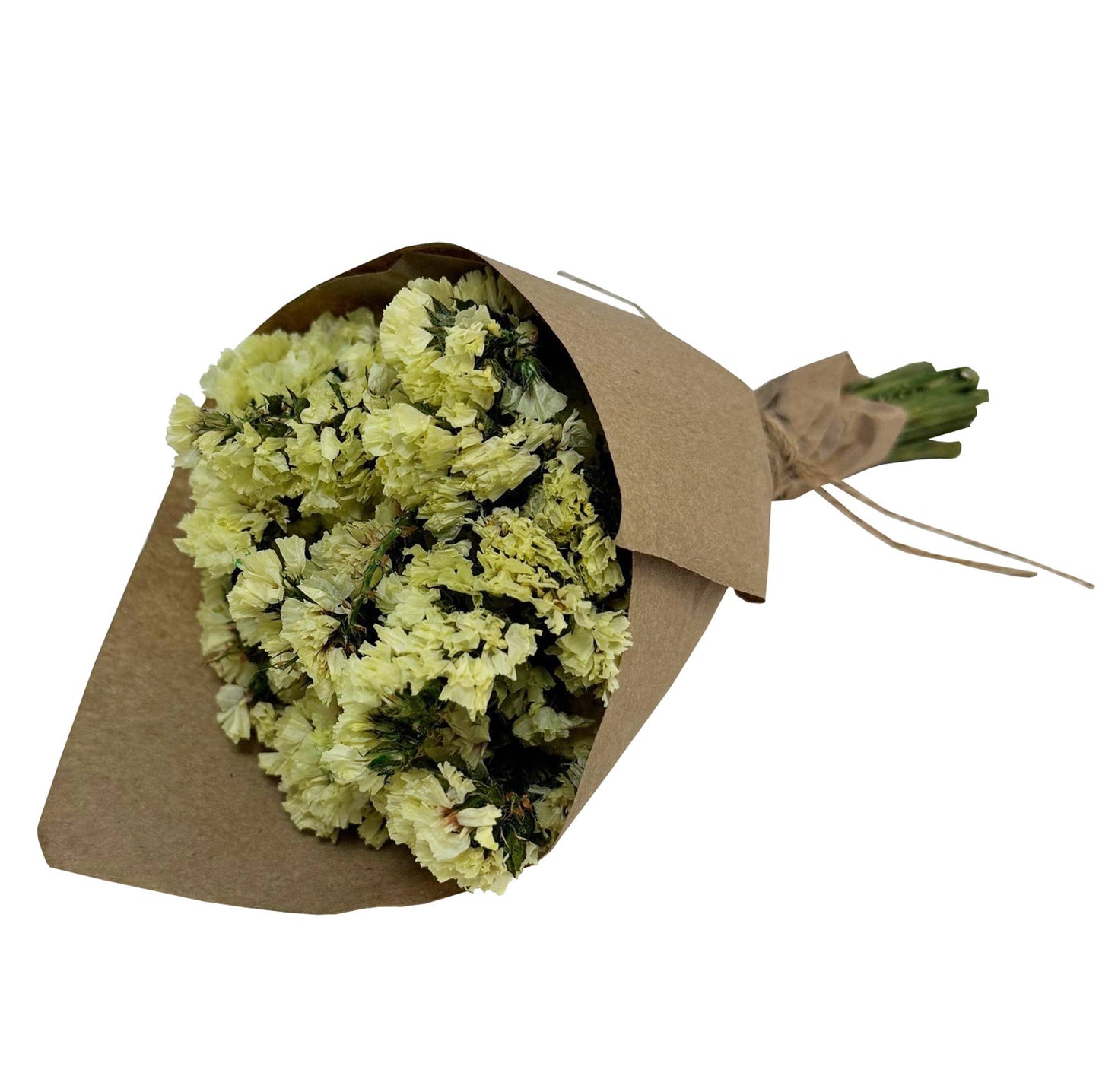 MINI Statice Flower Bundle: Yellow #169