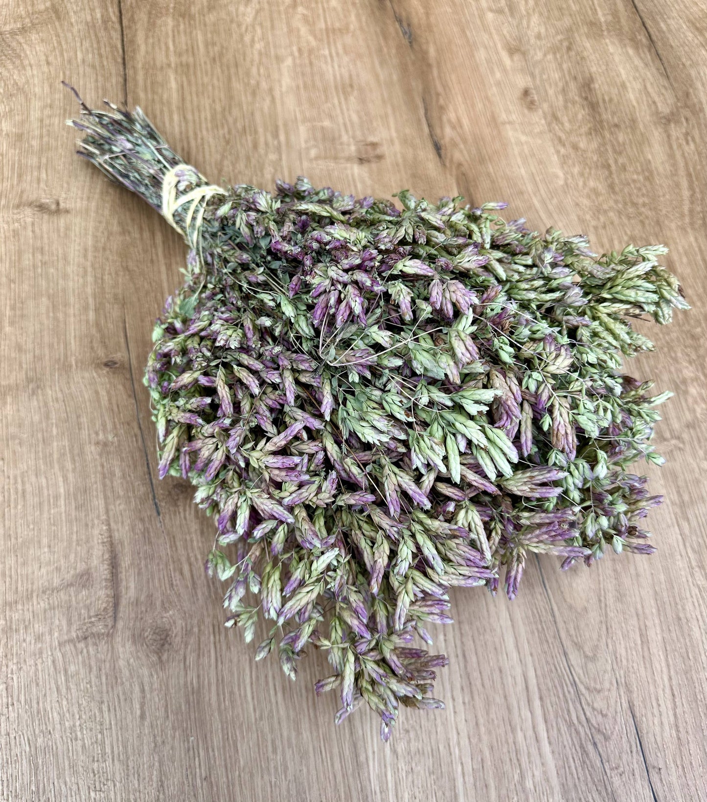 Santa Cruz Oregano