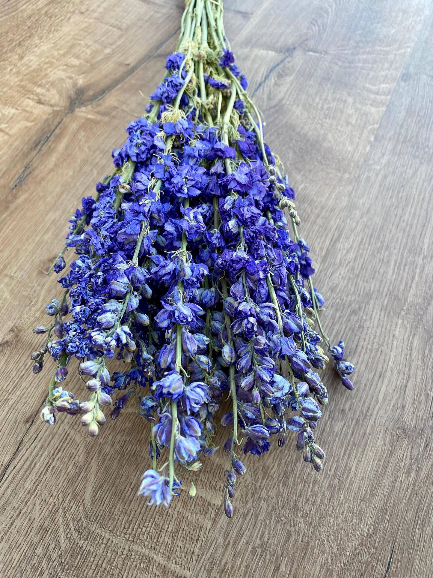 Larkspur - Dark Blue