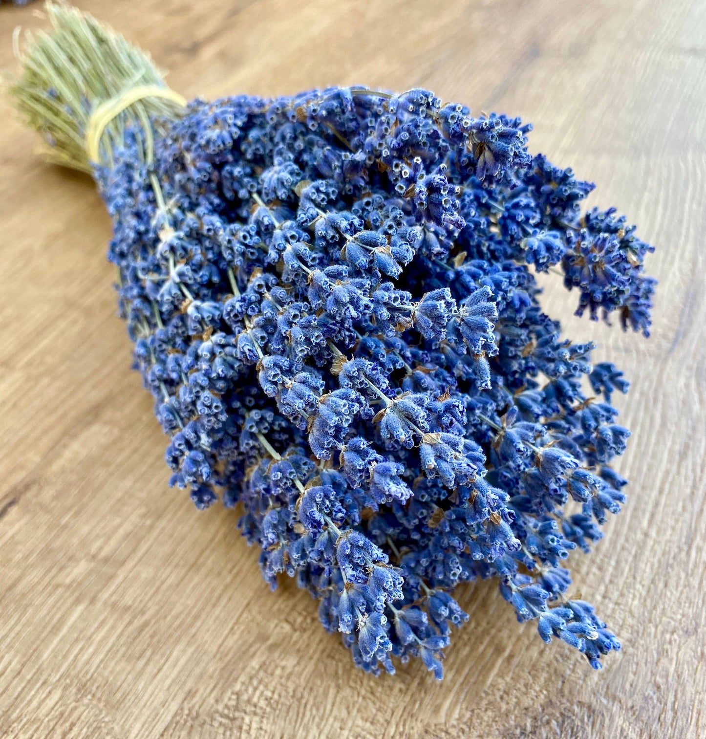 Lavender - Dark Purple