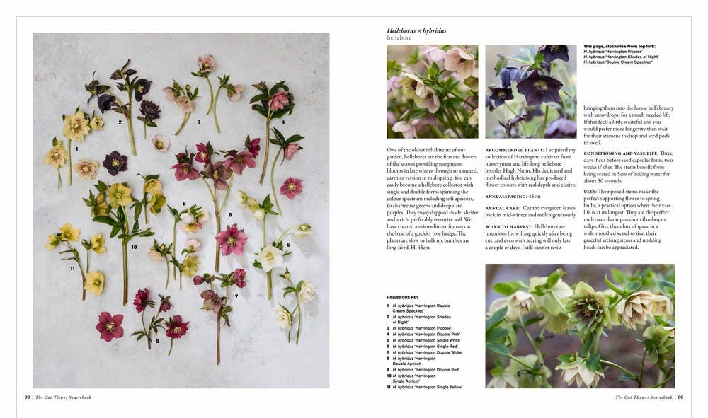 Cut Flower Sourcebook