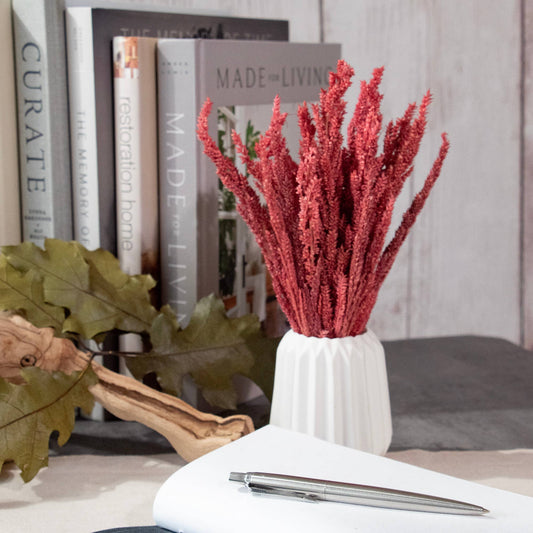 MINI Amaranthus Bundle #88