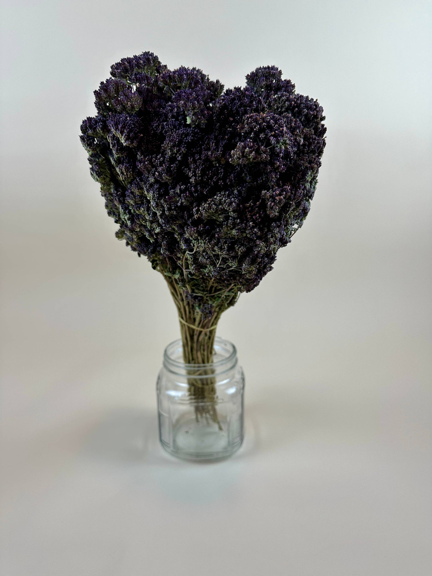 Purple Blossom Oregano