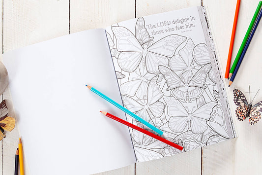 Bible Promises for You (Coloring Book)