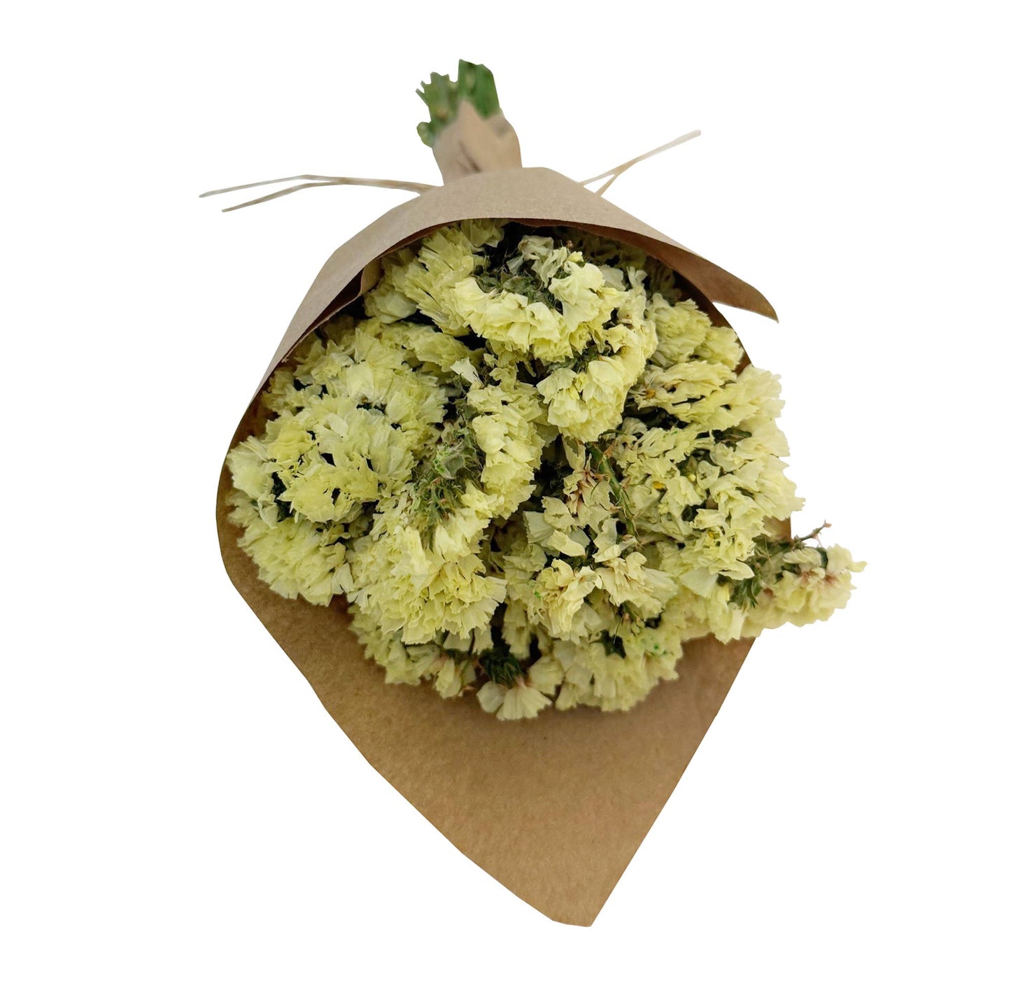 MINI Statice Flower Bundle: Yellow #169