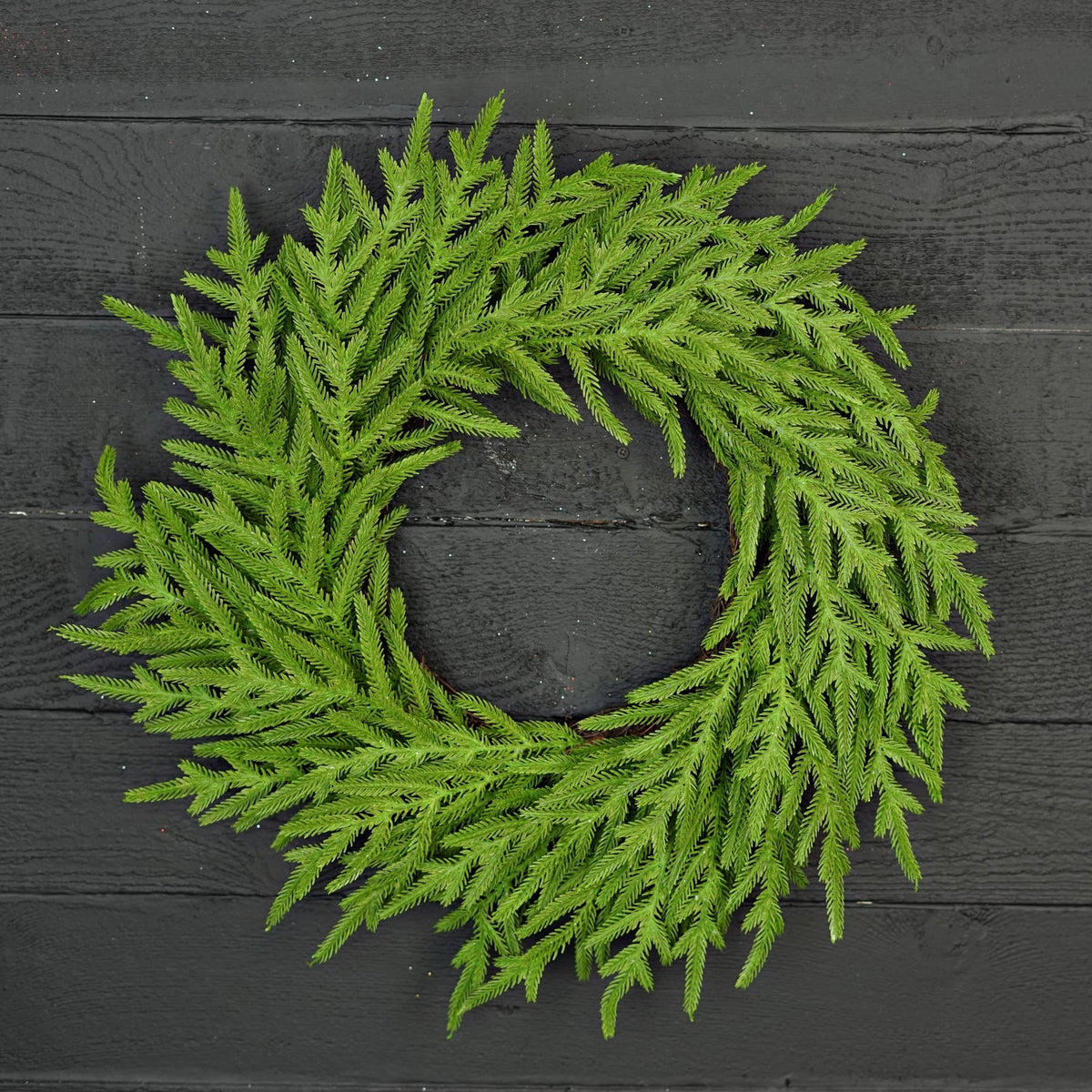 Twig Wreath-Soft Touch Evergreen Norfolk Pine-