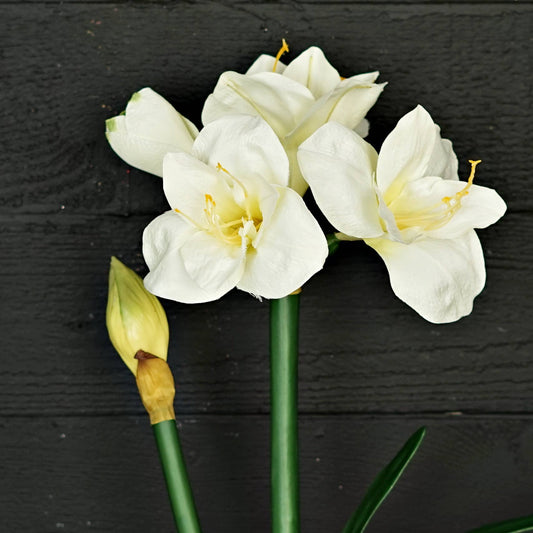 IT052CR- 22" Amaryllis bush x 4 w. bud and leaf