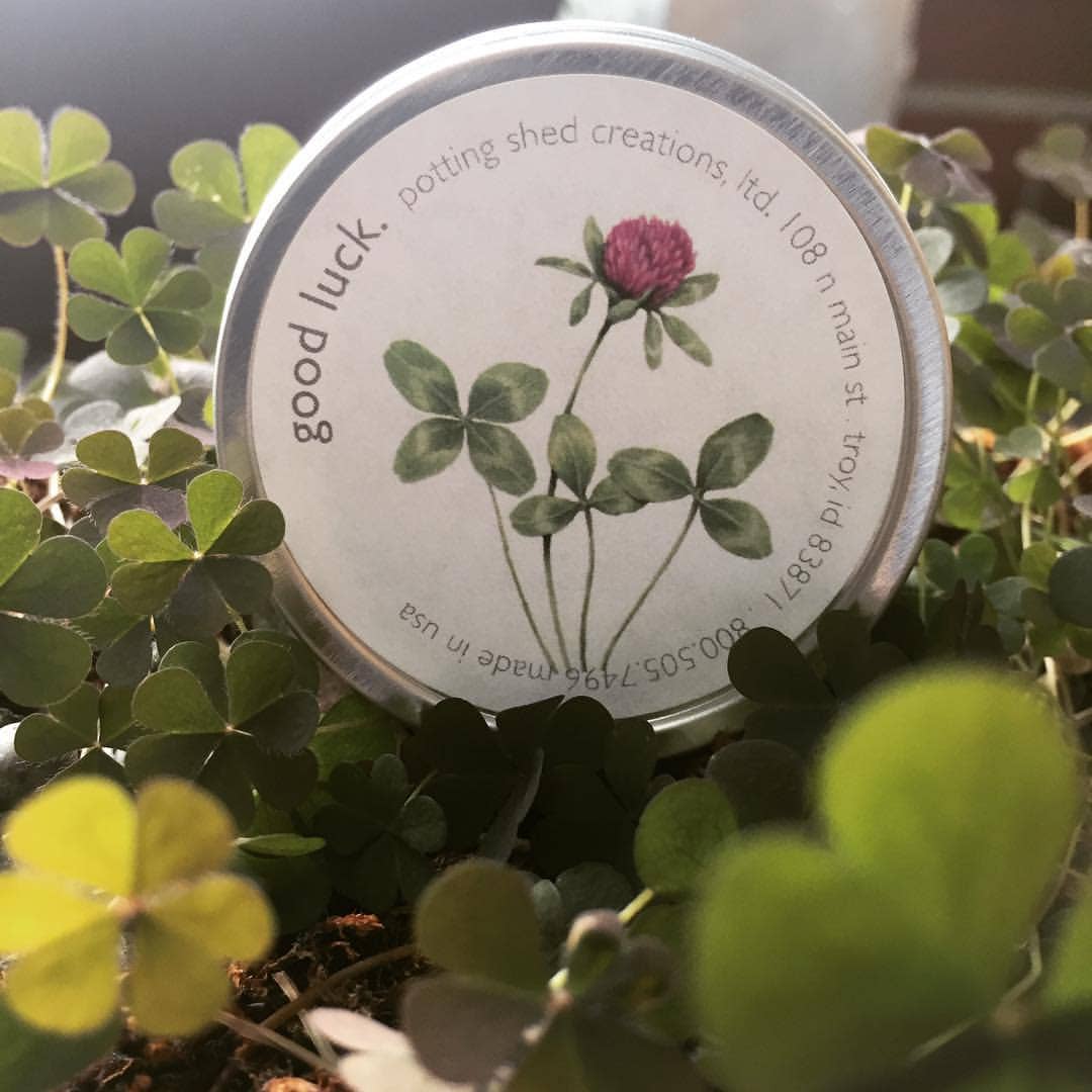 Garden Sprinkles Good Luck Clover | Wedding & Graduation