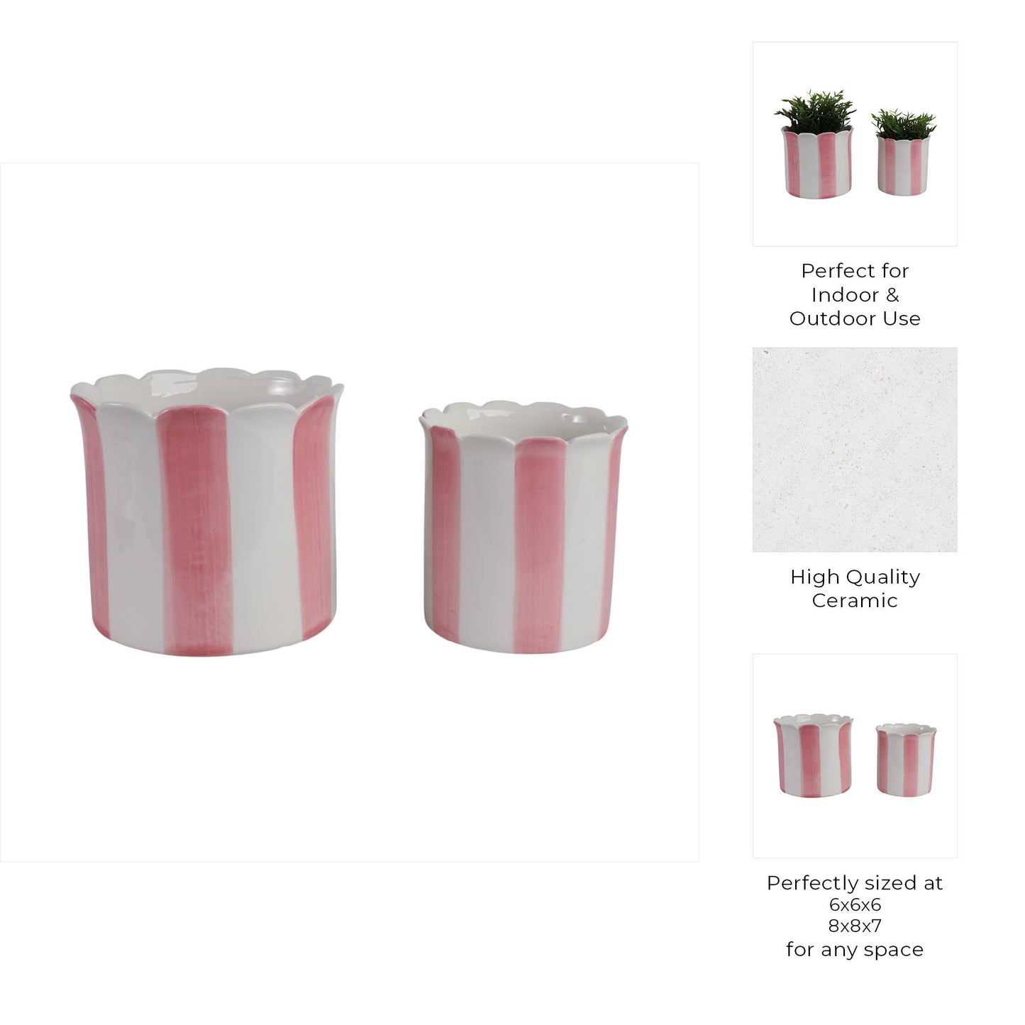 Pink Ceramic Striped Scallop,