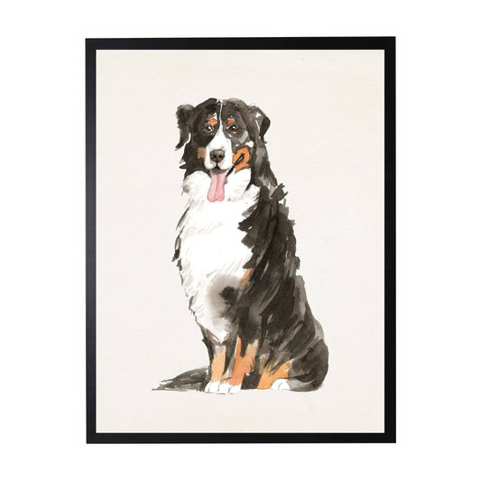 Watercolor Bernese Mountain Dog