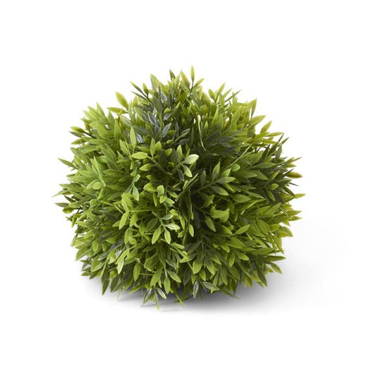 8" Podocarpus Ball
