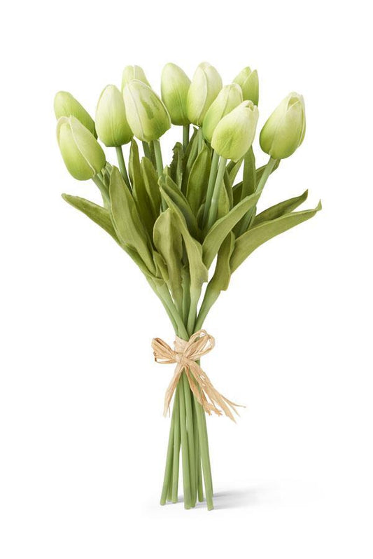 13" Green Tulip Bundle 12 Stems