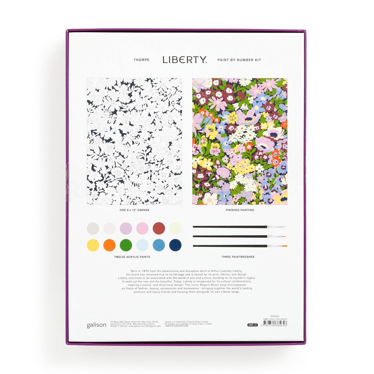 Liberty 9 x 12 Paint by Number Kit Thorpe