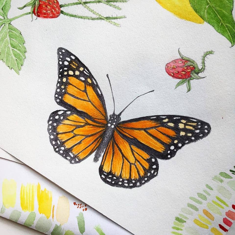 Garden Sprinkles Butterfly Habitat | Summer Flower Garden