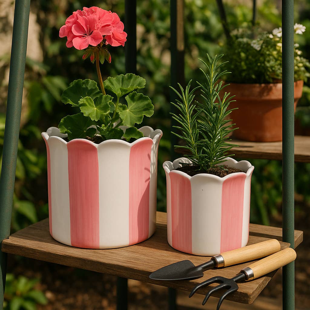 Pink Ceramic Striped Scallop,